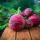 Beetroot: How To Grow - Vegetable of the Month